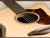 0BE3DF000A7D4300A78D677D8EAF8F4A_12086